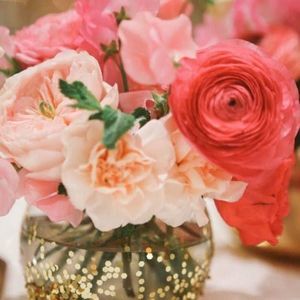 Meet your Posher, Addison